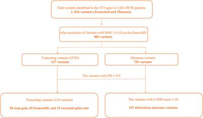 Clinical Significance of Variants in the TTN Gene in a Large Cohort of Patients With Sporadic Dilated Cardiomyopathy